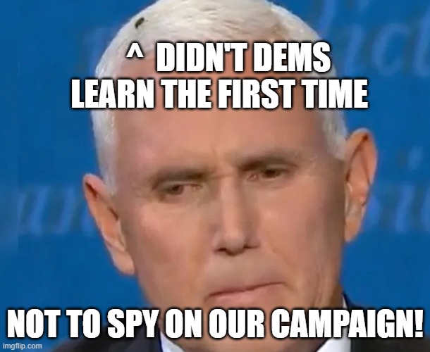 Pence Fly | ^  DIDN'T DEMS LEARN THE FIRST TIME; NOT TO SPY ON OUR CAMPAIGN! | image tagged in mike pence,mike pence vp | made w/ Imgflip meme maker