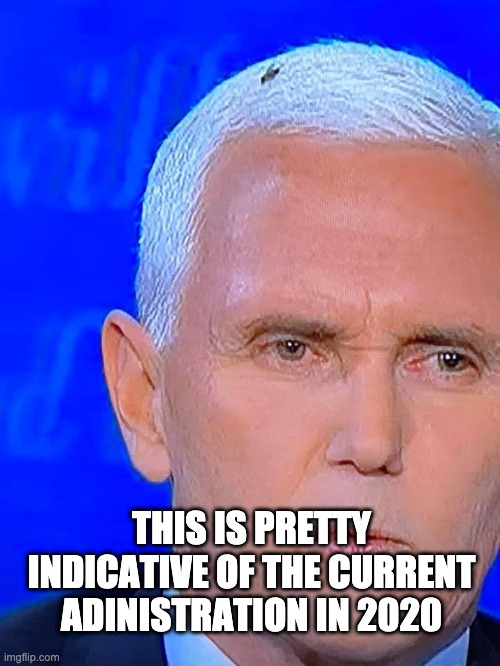 Pence with the fly | THIS IS PRETTY INDICATIVE OF THE CURRENT ADINISTRATION IN 2020 | image tagged in fly | made w/ Imgflip meme maker