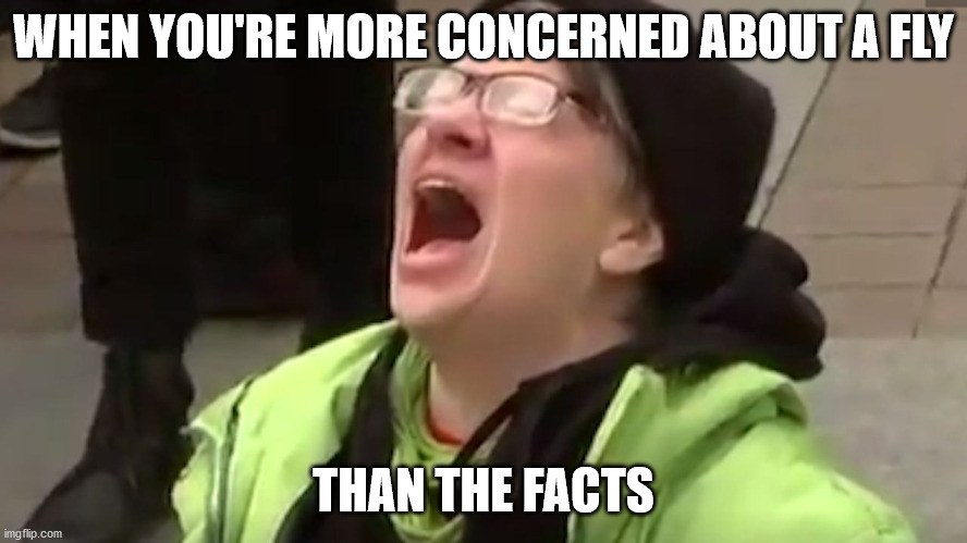Screaming Liberal  | WHEN YOU'RE MORE CONCERNED ABOUT A FLY THAN THE FACTS | image tagged in screaming liberal | made w/ Imgflip meme maker