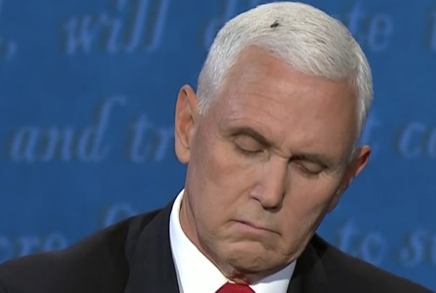 High Quality Fly on Mike Pence Blank Meme Template