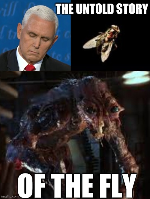 The untold story of the fly | THE UNTOLD STORY; OF THE FLY | image tagged in presidential alert,president,funny memes,pence,presidential debate,debate | made w/ Imgflip meme maker