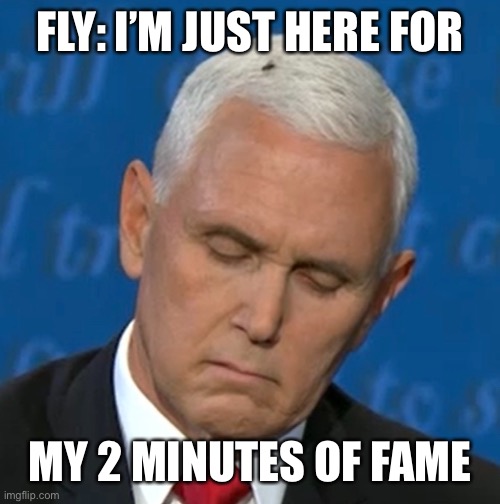 Fly in Pences Head | FLY: I’M JUST HERE FOR; MY 2 MINUTES OF FAME | image tagged in fly,pence,head,2020 debate,2 minutes | made w/ Imgflip meme maker