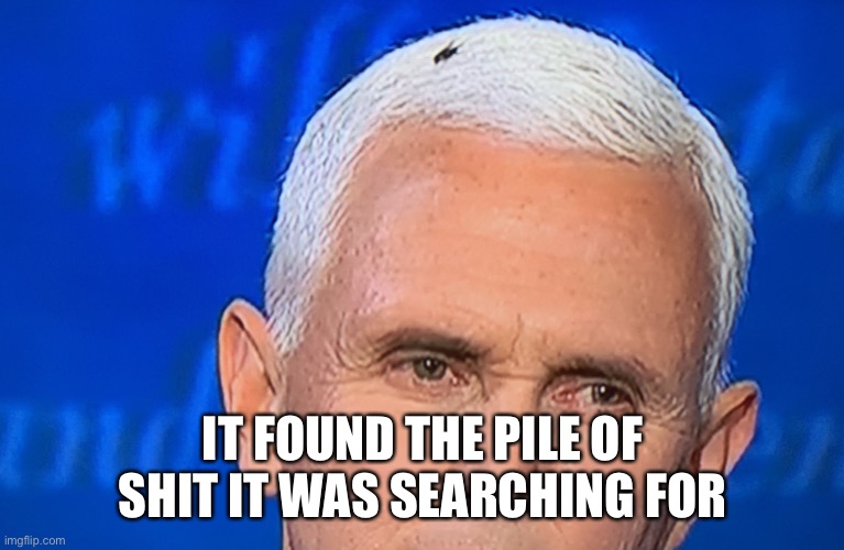 Pence Fly | IT FOUND THE PILE OF SHIT IT WAS SEARCHING FOR | image tagged in pence fly | made w/ Imgflip meme maker