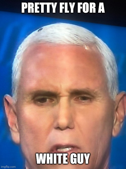 Pence Fly | PRETTY FLY FOR A; WHITE GUY | image tagged in pence fly | made w/ Imgflip meme maker