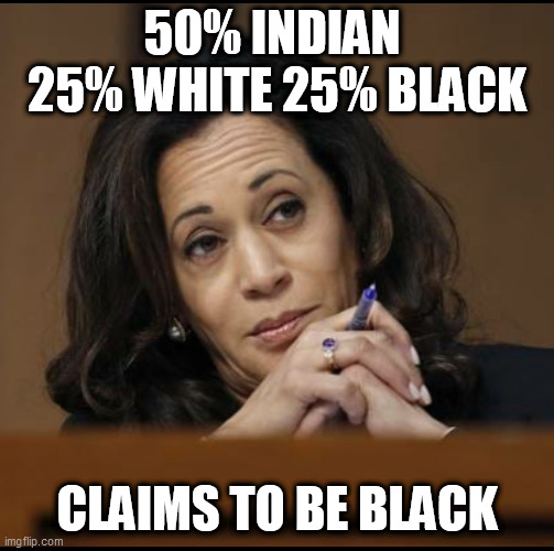 Kamala Harris  | 50% INDIAN  25% WHITE 25% BLACK; CLAIMS TO BE BLACK | image tagged in kamala harris | made w/ Imgflip meme maker