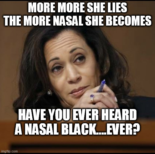 Kamala Harris  | MORE MORE SHE LIES THE MORE NASAL SHE BECOMES; HAVE YOU EVER HEARD A NASAL BLACK....EVER? | image tagged in kamala harris | made w/ Imgflip meme maker