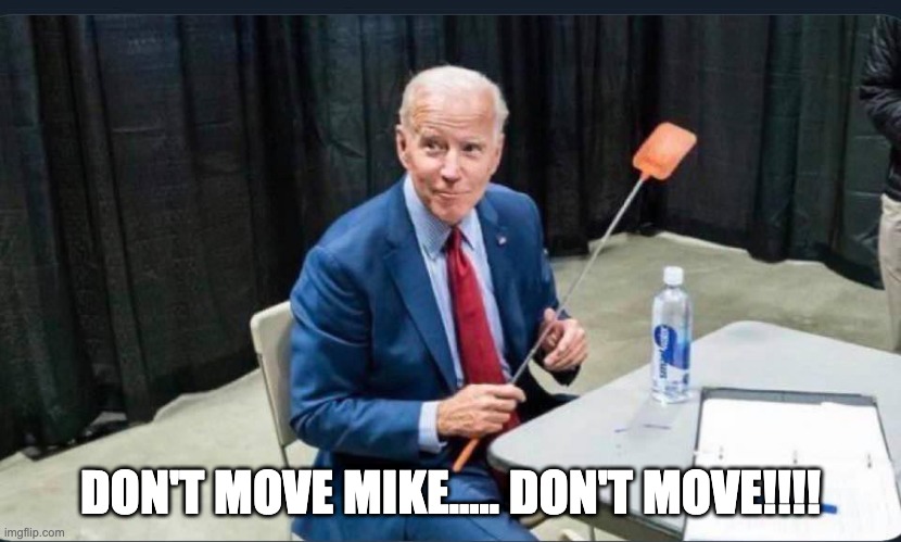 Joe with the swatter | DON'T MOVE MIKE..... DON'T MOVE!!!! | image tagged in fly | made w/ Imgflip meme maker