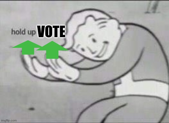 Fallout Hold Up | VOTE | image tagged in fallout hold up | made w/ Imgflip meme maker