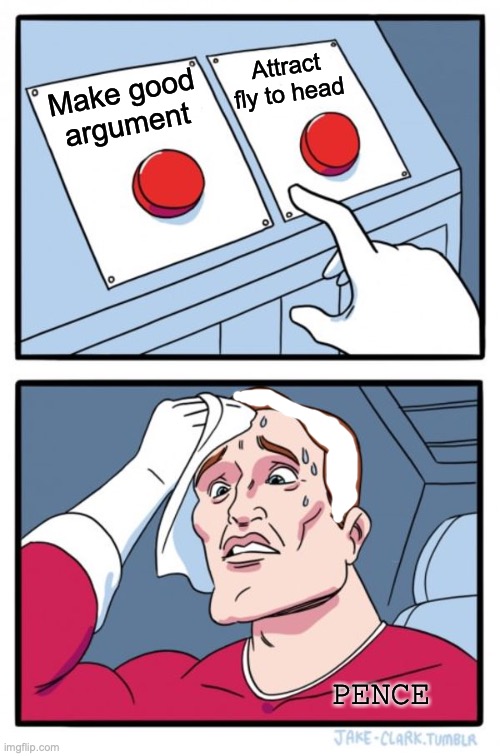 Two Buttons Meme | Attract fly to head; Make good argument; PENCE | image tagged in memes,two buttons | made w/ Imgflip meme maker