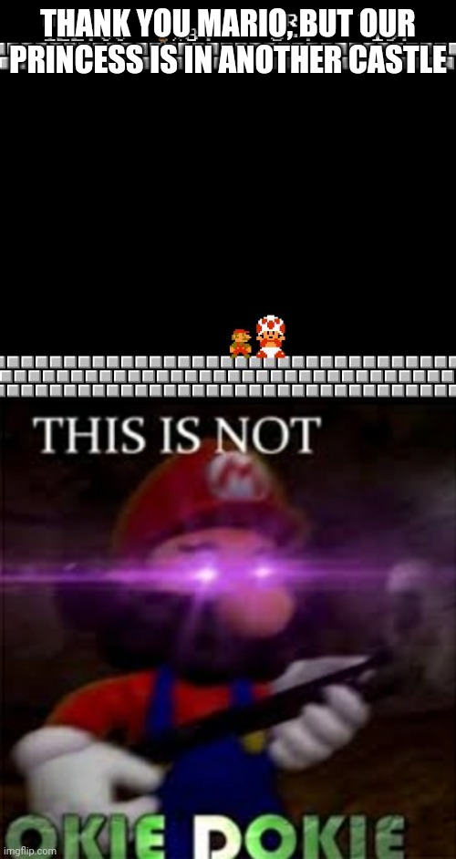 THANK YOU MARIO, BUT OUR PRINCESS IS IN ANOTHER CASTLE | image tagged in thank you mario | made w/ Imgflip meme maker