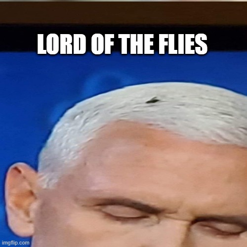 Pence Fly head | LORD OF THE FLIES | image tagged in fly | made w/ Imgflip meme maker