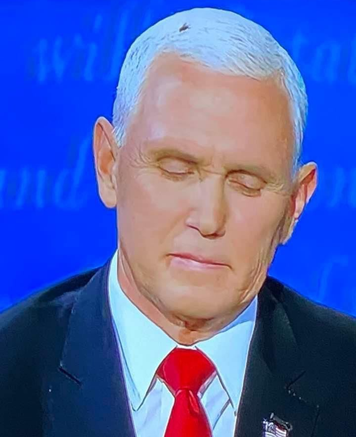 Pence fly Blank Meme Template