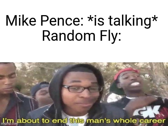Vice President Debate | Mike Pence: *is talking*

Random Fly: | image tagged in memes,vice presidential debate,2020,election 2020 | made w/ Imgflip meme maker