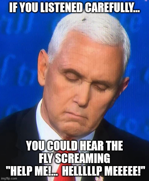 The Fly | IF YOU LISTENED CAREFULLY... YOU COULD HEAR THE FLY SCREAMING
 "HELP ME!...  HELLLLLP MEEEEE!" | image tagged in mike pence,fly | made w/ Imgflip meme maker