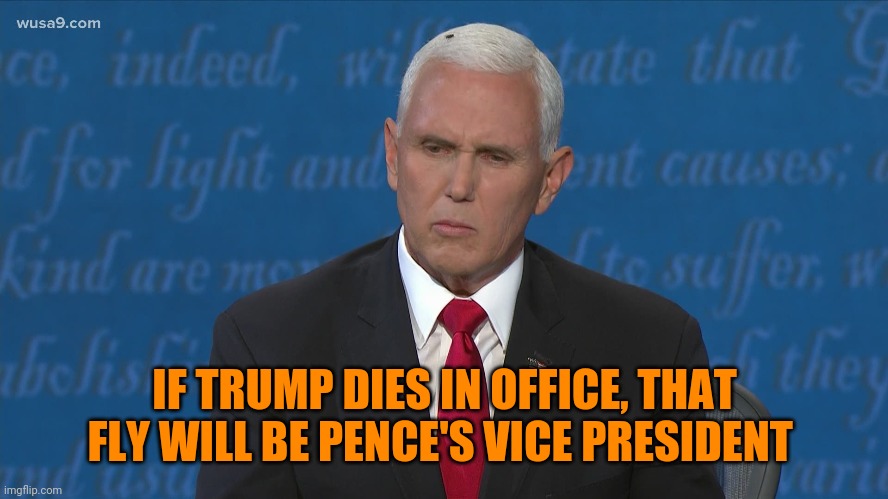 IF TRUMP DIES IN OFFICE, THAT FLY WILL BE PENCE'S VICE PRESIDENT | made w/ Imgflip meme maker