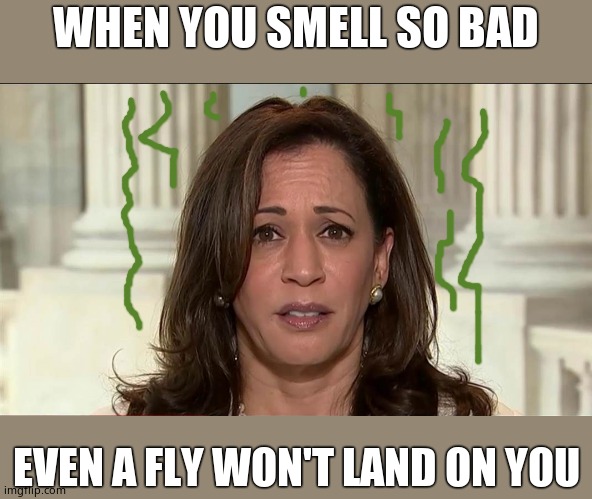 Ewww | WHEN YOU SMELL SO BAD EVEN A FLY WON'T LAND ON YOU | image tagged in kamala harris | made w/ Imgflip meme maker