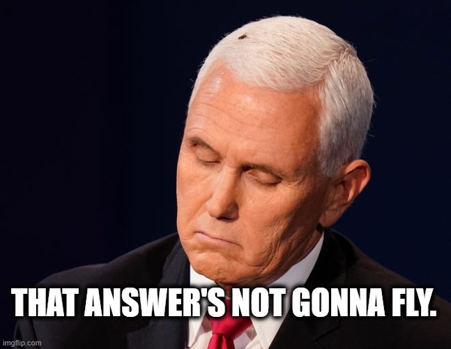 Fly attracted to shit. | THAT ANSWER'S NOT GONNA FLY. | image tagged in mike pence,fly,trash,white trash,debate | made w/ Imgflip meme maker