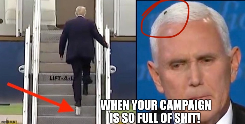 Pence and the fly | image tagged in pence fly meme,pence fly,pence debate | made w/ Imgflip meme maker