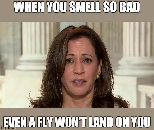kamala harris | WHEN YOU SMELL SO BAD; EVEN A FLY WON'T LAND ON YOU | image tagged in kamala harris,fly,debate | made w/ Imgflip meme maker
