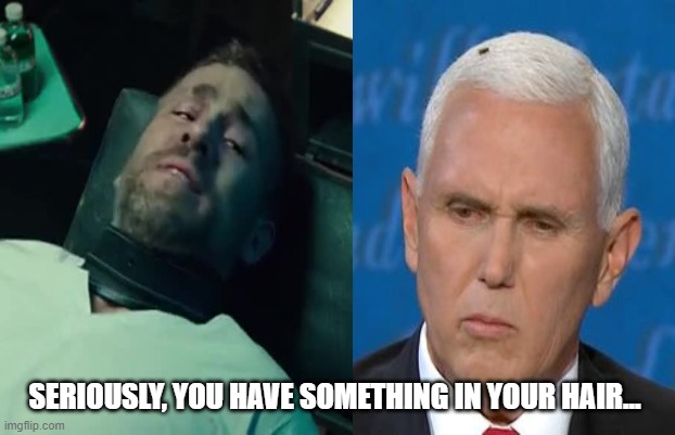 SERIOUSLY, YOU HAVE SOMETHING IN YOUR HAIR... | image tagged in mike pence,presidential debate,fly,deadpool | made w/ Imgflip meme maker