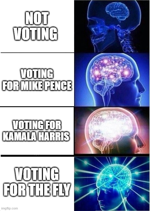 Has everyone seen the fly swatters being sold on the Biden website? | NOT VOTING; VOTING FOR MIKE PENCE; VOTING FOR KAMALA HARRIS; VOTING FOR THE FLY | image tagged in memes,expanding brain | made w/ Imgflip meme maker
