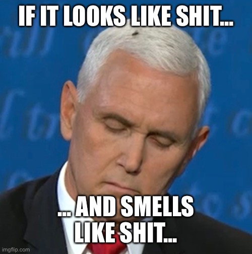 If it looks like shit | IF IT LOOKS LIKE SHIT... ... AND SMELLS LIKE SHIT... | image tagged in pence,fly,head,shit,2020 debate | made w/ Imgflip meme maker