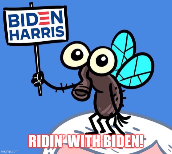 Vote Blue 2020! | RIDIN’ WITH BIDEN! | image tagged in vote blue 2020,presidential debate,kamala harris,joe biden,ridin with biden,biden harris | made w/ Imgflip meme maker