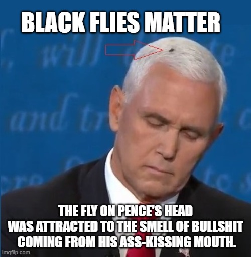 What Pence Says Stinks | BLACK FLIES MATTER; THE FLY ON PENCE'S HEAD 
WAS ATTRACTED TO THE SMELL OF BULLSHIT 
COMING FROM HIS ASS-KISSING MOUTH. | image tagged in bullshit,pence,hypocrite,black flies matter,biden 2020,kamala harris | made w/ Imgflip meme maker