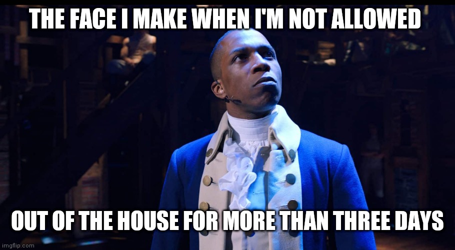 Lol | THE FACE I MAKE WHEN I'M NOT ALLOWED; OUT OF THE HOUSE FOR MORE THAN THREE DAYS | image tagged in aaron burr he changes the game,memes,funny,hamilton,musicals,quarantine | made w/ Imgflip meme maker