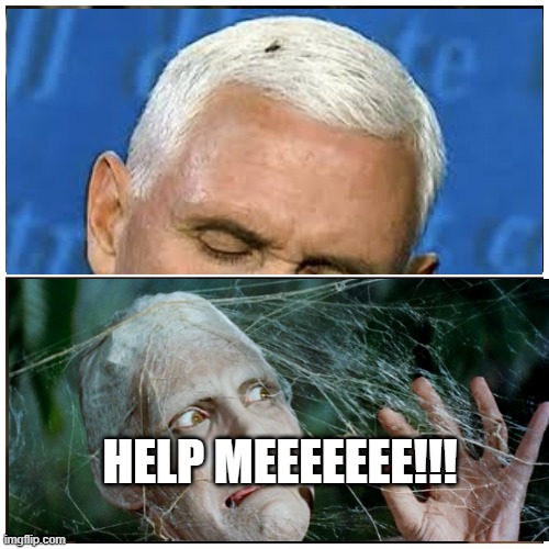 Pence fly Help me! - Imgflip