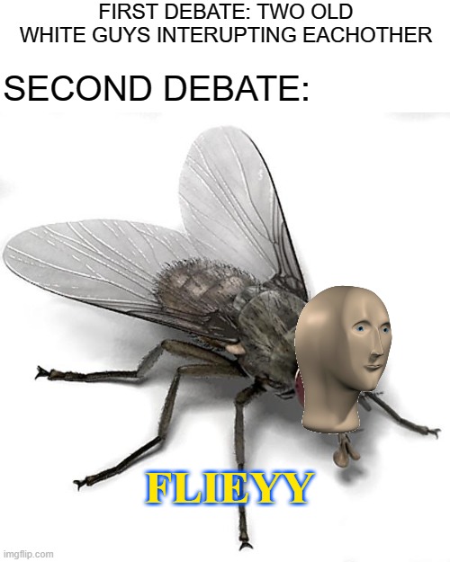 buzzzzzzz | FIRST DEBATE: TWO OLD WHITE GUYS INTERUPTING EACHOTHER; SECOND DEBATE:; FLIEYY | image tagged in scumbag house fly | made w/ Imgflip meme maker