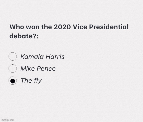 Who really won? | image tagged in presidential debate,vote,mike pence,kamala harris | made w/ Imgflip meme maker