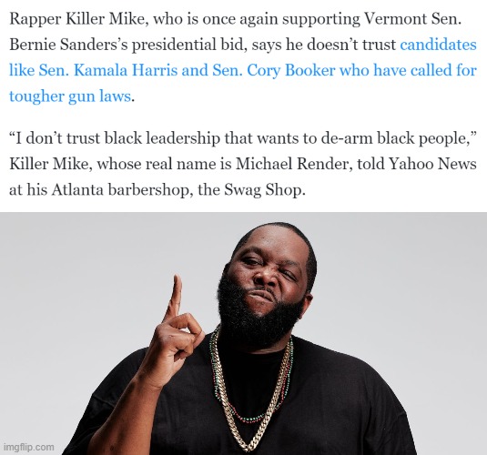 I disagreed, but you know what? White supremacists busily arming themselves and talking of the next Civil War changed my mind | image tagged in killer mike,gun control | made w/ Imgflip meme maker
