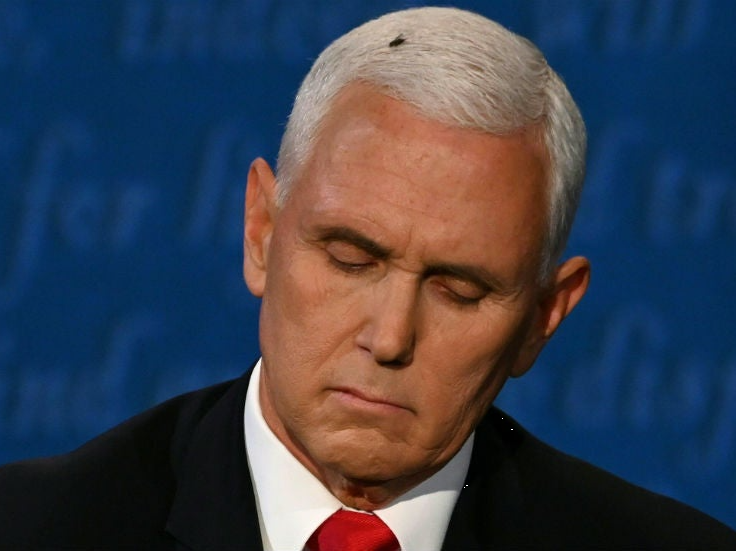 High Quality Fly Pence Blank Meme Template