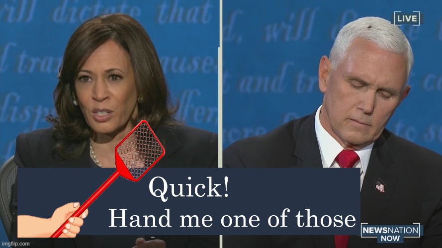 No Fly Zone | image tagged in debate,pence,vice president,kamala harris,mike pence,fly | made w/ Imgflip meme maker