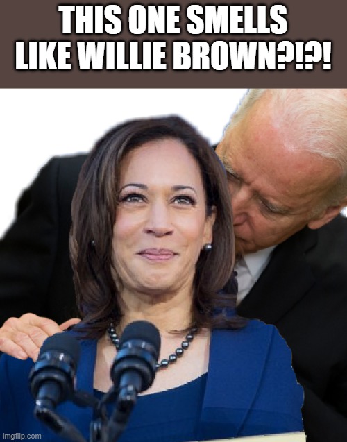 Joe Biden and Kamala Hairs | THIS ONE SMELLS LIKE WILLIE BROWN?!?! | image tagged in joe biden and kamala hairs | made w/ Imgflip meme maker