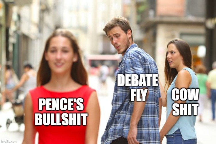 Debate Fly | DEBATE 
FLY; COW
SHIT; PENCE'S
BULLSHIT | image tagged in memes,distracted boyfriend | made w/ Imgflip meme maker