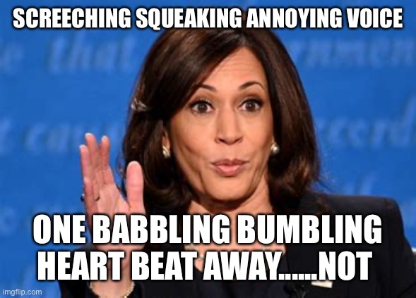 So annoying, Hillary has a rival. | SCREECHING SQUEAKING ANNOYING VOICE; ONE BABBLING BUMBLING HEART BEAT AWAY......NOT | image tagged in skreeching,kamala harris,loser | made w/ Imgflip meme maker