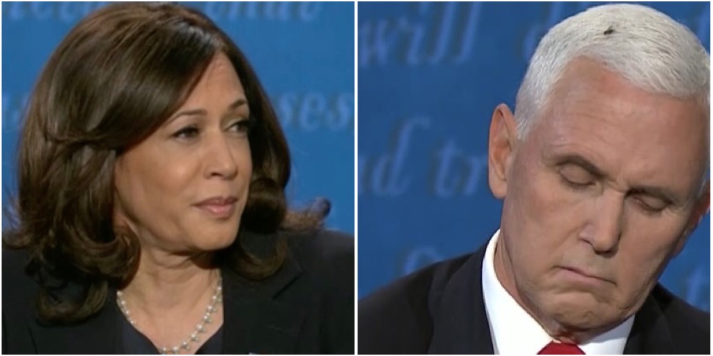 Kamala Harris sees Pence is bullshit Blank Meme Template