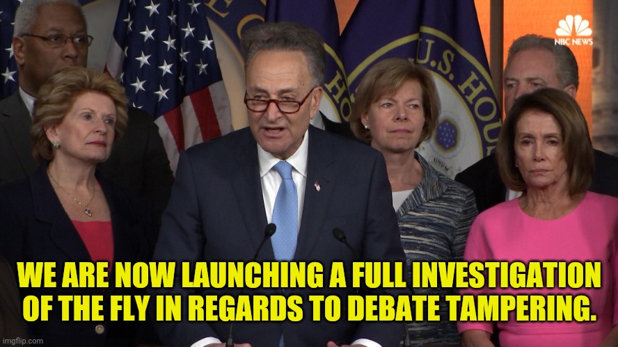 Democrats Launch Investigation Of Fly | WE ARE NOW LAUNCHING A FULL INVESTIGATION OF THE FLY IN REGARDS TO DEBATE TAMPERING. | image tagged in democrat congressmen,fly,democrats,drstrangmeme,kamala harris,mike pence | made w/ Imgflip meme maker
