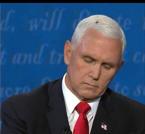 High Quality Pence Fly Blank Meme Template