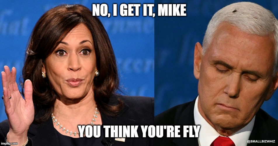 Pence is Fly -- For a White Guy | NO, I GET IT, MIKE; YOU THINK YOU'RE FLY | image tagged in pence is fly | made w/ Imgflip meme maker