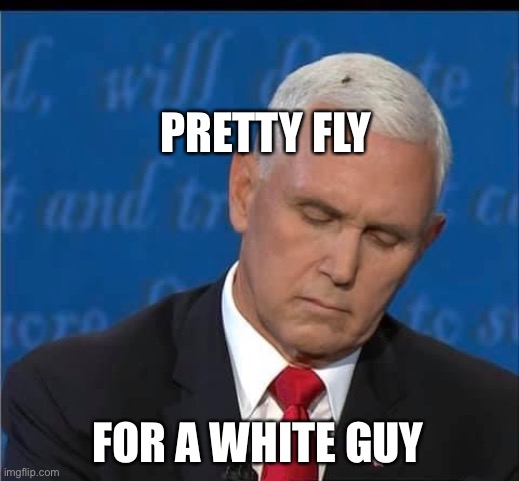 Pretty Fly for a white guy | PRETTY FLY; FOR A WHITE GUY | image tagged in pence fly | made w/ Imgflip meme maker