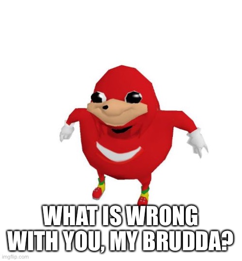 Ugandan Knuckles | WHAT IS WRONG WITH YOU, MY BRUDDA? | image tagged in ugandan knuckles | made w/ Imgflip meme maker