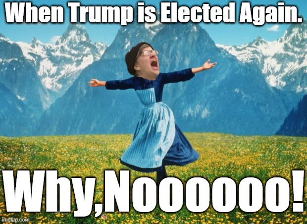 WHEN HEADS EXPLODE, AGAIN! | When Trump is Elected Again. Why,Noooooo! | image tagged in noooooooooooooooooooooooo,trump 2020,winners are grinners | made w/ Imgflip meme maker