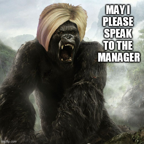 king kong | MAY I 
PLEASE 
SPEAK 
TO THE 
MANAGER | image tagged in king kong,karen,karen the manager will see you now,movies,hair,karens | made w/ Imgflip meme maker