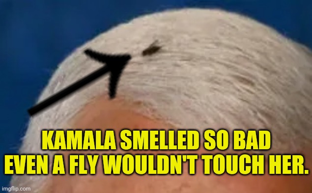 The Fly | KAMALA SMELLED SO BAD EVEN A FLY WOULDN'T TOUCH HER. | image tagged in kamala harris,mike pence,donald trump,trump 2020,drstrangmeme,conservatives | made w/ Imgflip meme maker