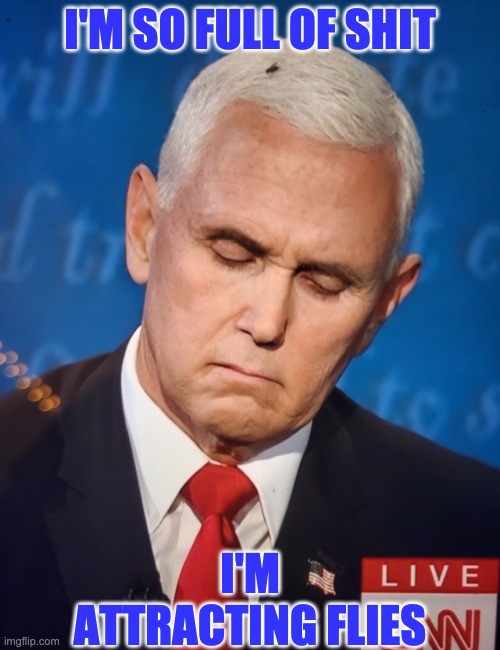 pence fly | I'M SO FULL OF SHIT; I'M ATTRACTING FLIES | image tagged in mike pence fly on head | made w/ Imgflip meme maker