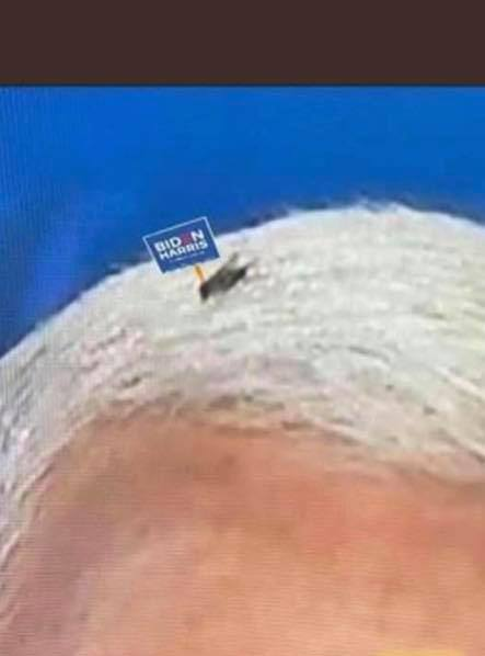 Fly on Pence Blank Meme Template