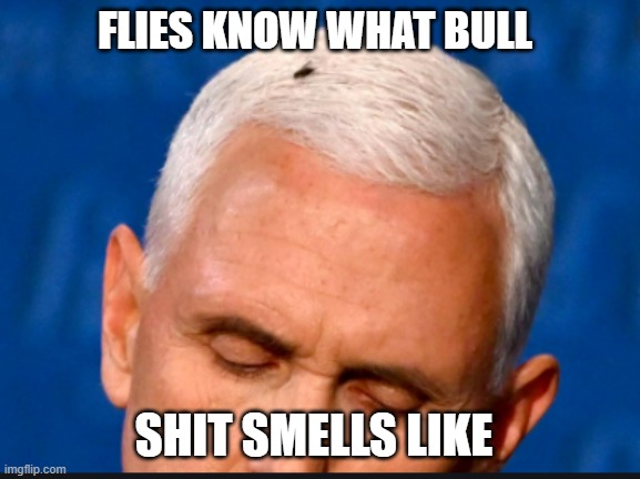 FLY ON HEAD OF PENCE | FLIES KNOW WHAT BULL; SHIT SMELLS LIKE | image tagged in fly on pence head | made w/ Imgflip meme maker